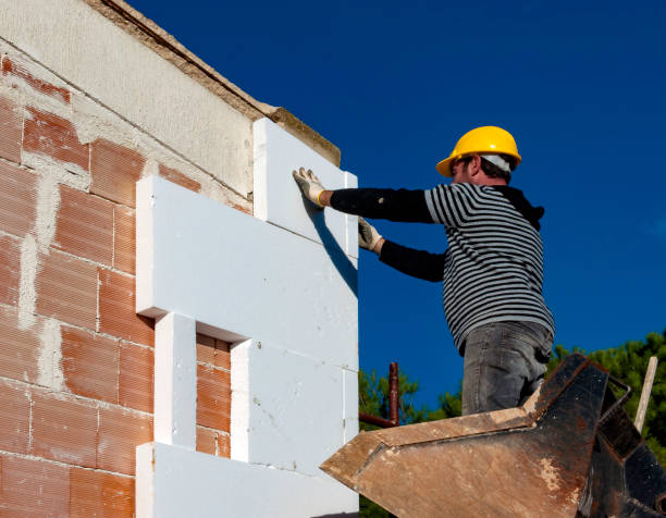 Best Insulation Maintenance and Repair in St Louis, MI