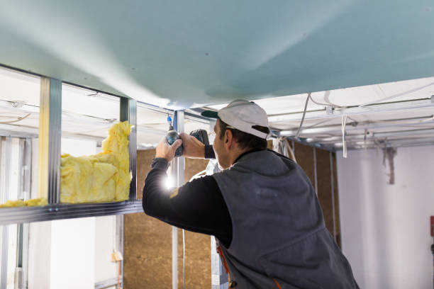 Best Commercial Insulation in St Louis, MI