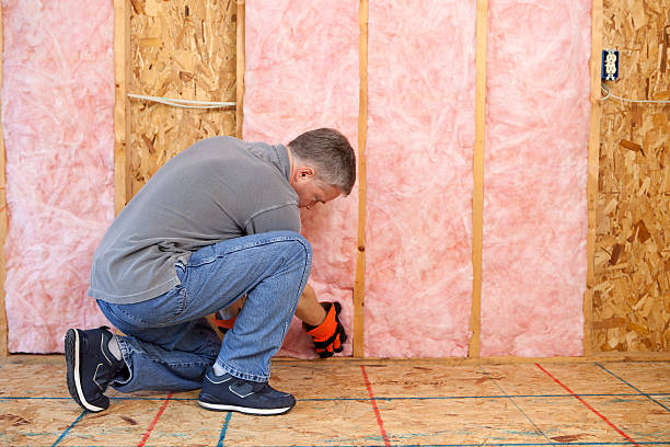 Best Residential Insulation in St Louis, MI
